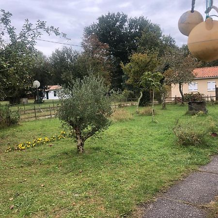 Petite Maison Rustique Et Atypique Hourtin Luaran gambar
